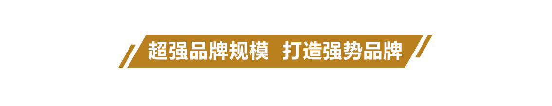 超强品牌规模 打造实力品牌
