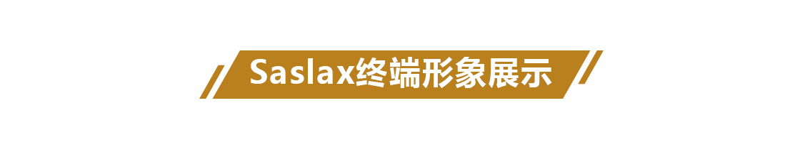 Saslax终端形象展示